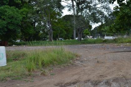 LOTE AMADOR CAUSEWAY