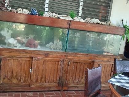 Venta de Pecera /Madera de teca _curada