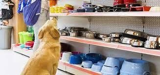 Mascotas en Panamá: Anuncios de Adopción, Accesorios y Cuidado para tus Compañeros Peludos