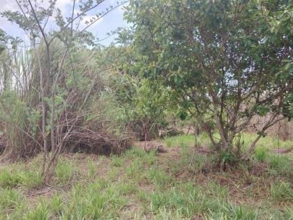 TERRENO 900MTS EN VENTA