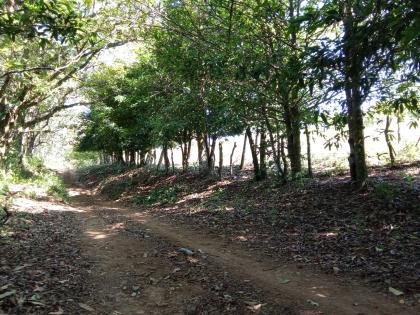 Se vende terreno en boquete caldera 89000B/. negociable 3.48 hectareas