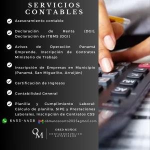 Contador (Servicios Contables)