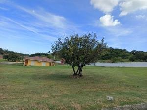 Vendo Lote en Brisas del Celaje