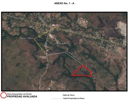 Venta de globo de terreno de 2.9 hectáreas en el harino de chame