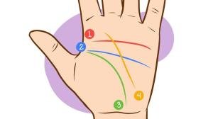 QUIROMANCIA LECTURA DE LA MANO  ROSTRO LECTURA DE TU AÑO MES DIA HORA DE NACIMIENTO