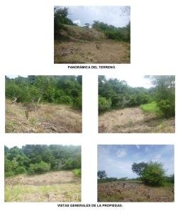 Vendo Globo de Terrero de 2.9 Hectáreas en Provincia de Panana Oeste, Distrito Chame Comunidad las 